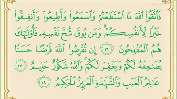 سورة التغابن من آية ١٦ الى ١٨ القارئ شعيب البدر