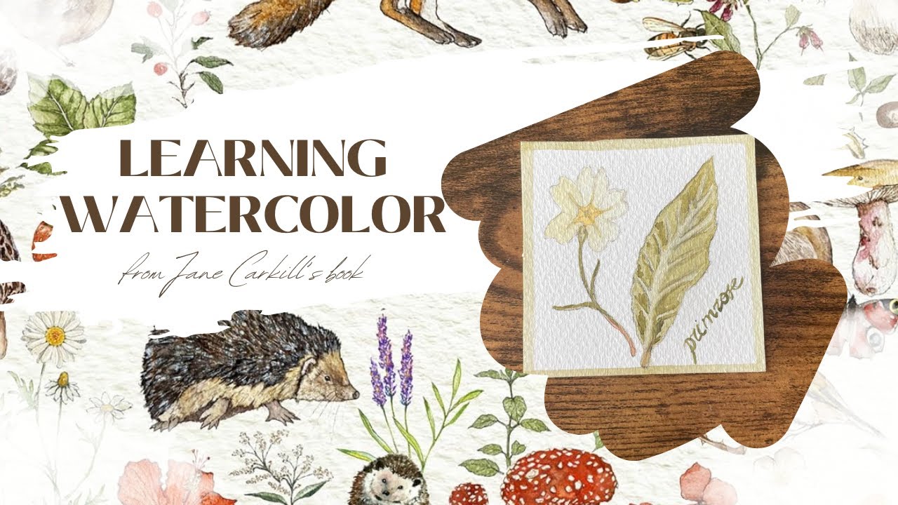 Beginner Watercolor Miniature | Watercolor in the Woods by Jane Carkill aka lamblittle