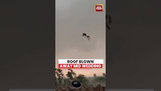 Bareilly Viral Video: Bareilly Wedding Roof Blown Away in Sudden Cyclone Storm Chaos #bareilly