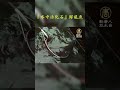 台灣新竹 鱘龍魚養殖 3-4歲就有20斤 #shorts | #1000步的繽紛台灣 | #暢遊天下