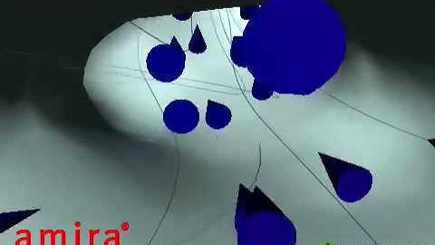 Amira | 3D visualization and analysis | Simulation of Blood flow in Aneurysm