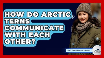 How Do Arctic Terns Communicate With Each Other? - Polar Regions Uncovered