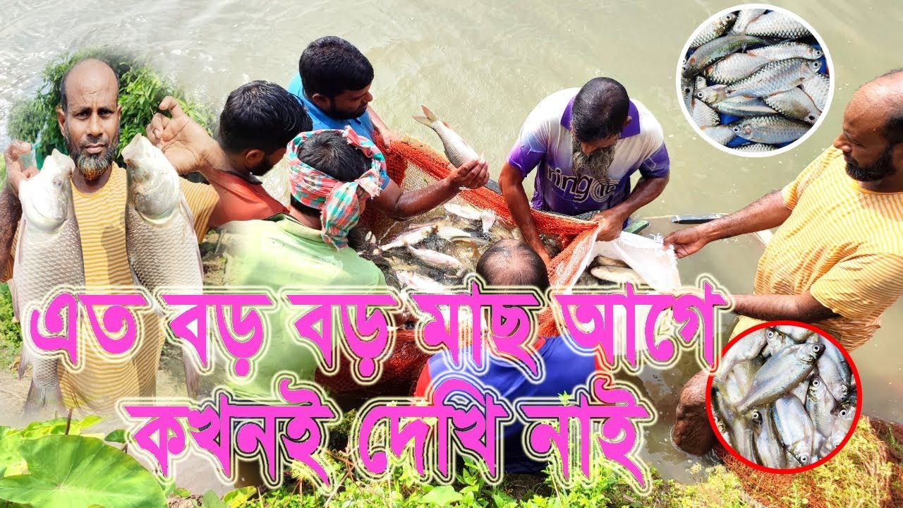 Amazing Fishing Village Fishing YouTube