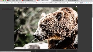 How to remove watermark from shutterstock with PTS