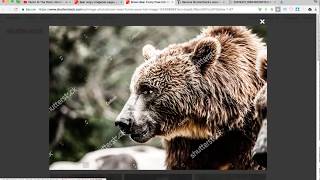 How to remove watermark from shutterstock with PTS How to remove watermark from shutterstock with PTS