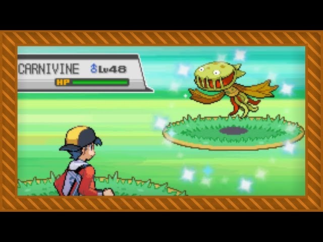 LIVE] Shiny Roaming Moltres after 8,471 SRs (16,942 seen) in Platinum 