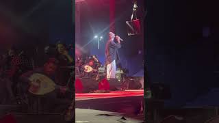 Tan Taşçı - Yok Başka Hayalim