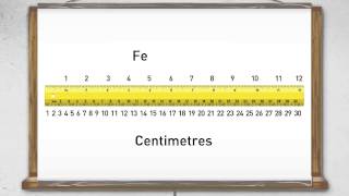 Beginner m MeasuringLengthAndReadingScales converted Beginner M Measuring Capacity And Reading Scales Converted