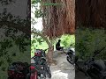 Amman whatsapp status tamil | Erachakulam video kanyakumari | nagercoil nature | life of hari