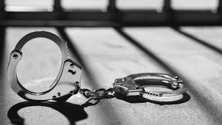 Ellis County, TX: $173K in stolen vehicles, equipment recovered in police operation, sheriff says