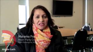 Marama Fox &#39;2015&#39;  -  The Aotearoa / New Zealand Flag Referendums Bill