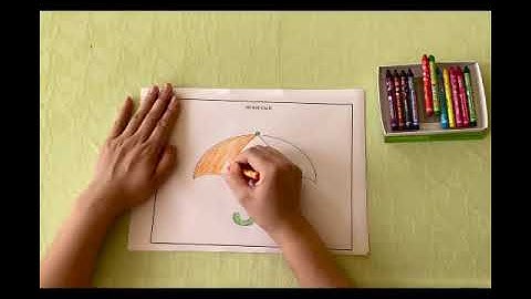 D1 Tạo hình Tô màu cái ô