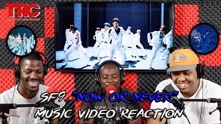 SF9 'Now or Never'  Reaction