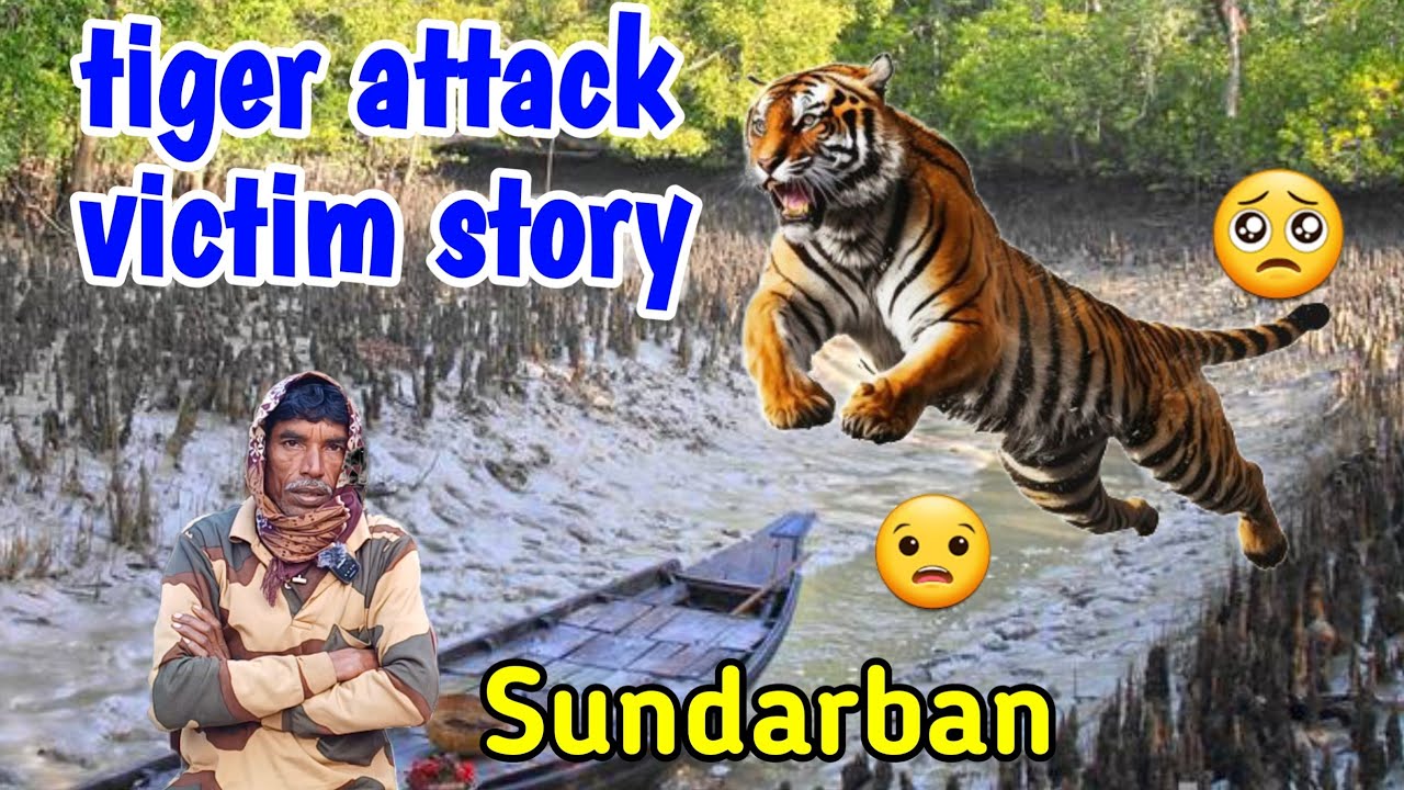 История нападения тигра в Сундарбане | История жертвы нападения тигра | Страшная история | Нападе...