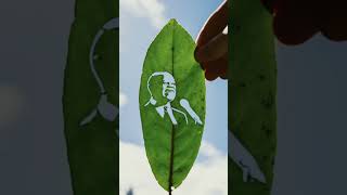 Incredible Stop Motion Made w/ Leaves- Louis Armstrong What a Wonderful World #art #nature #creative