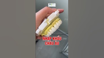 5 ĐIỀU CẦN BIẾT trước khi BỌC RĂNG SỨ, ưu đãi đón Tết TỪ 1.8 TRIỆU