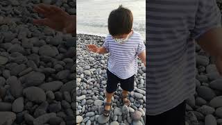 Explorando En La Playa De Lima Encontré Unos Cangrejos Secos. Animales Marinos