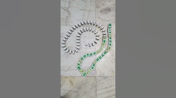 Asmr | Domino Effect Taking Over The Internet #875