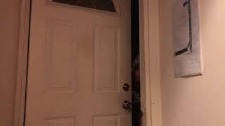 Squatters in Pennsylvania