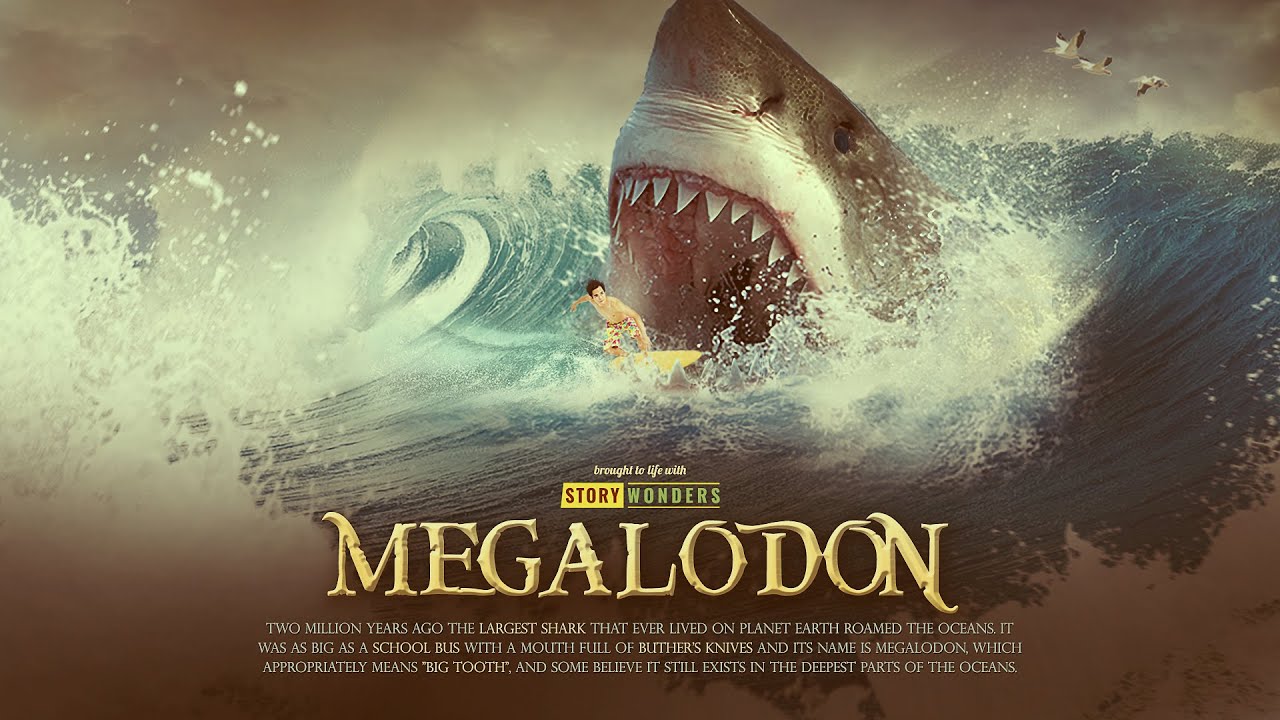 Megalodon 1080P 2K 4K 5K HD wallpapers free download  Wallpaper Flare