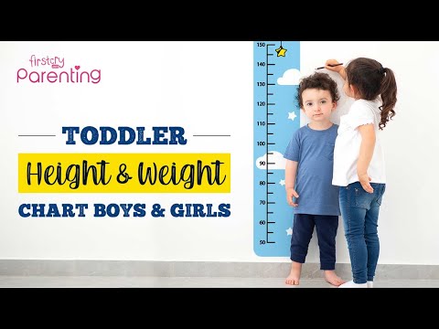 The Ideal Height & Weight Chart for Toddlers (From 12 to 24 Months)