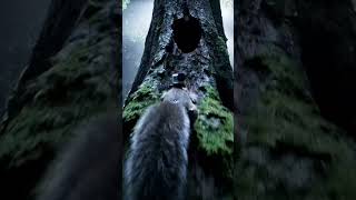 A Flying Squirrel Found a Secret Tree Home #NatGeo#TreeLife#WildlifeShorts#AnimalPOV#NatureShorts
