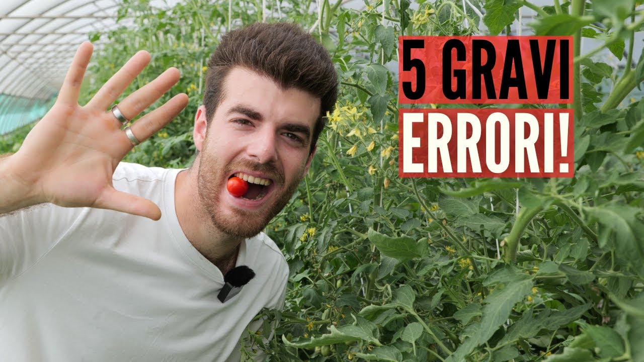 POMODORI da RECORD, 5 errori da non fare
