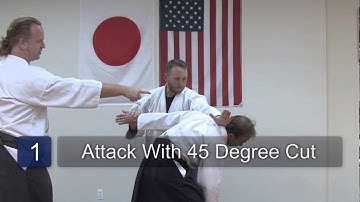 Aikido Head Strike Technique : Aikido Techniques