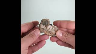 Vidéo: Prehnite, Combe de la Selle, France, 6,4 cm