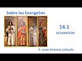 14.1.  Sobre los Evangelios.  Aclaración