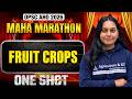 OPSC AHO 2026 | Fruit Crops | One Shot Maha Marathon | Complete Revision | OPSC AHO Exam Classes