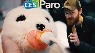 Тюлень терапевт или Японский робот PARO.