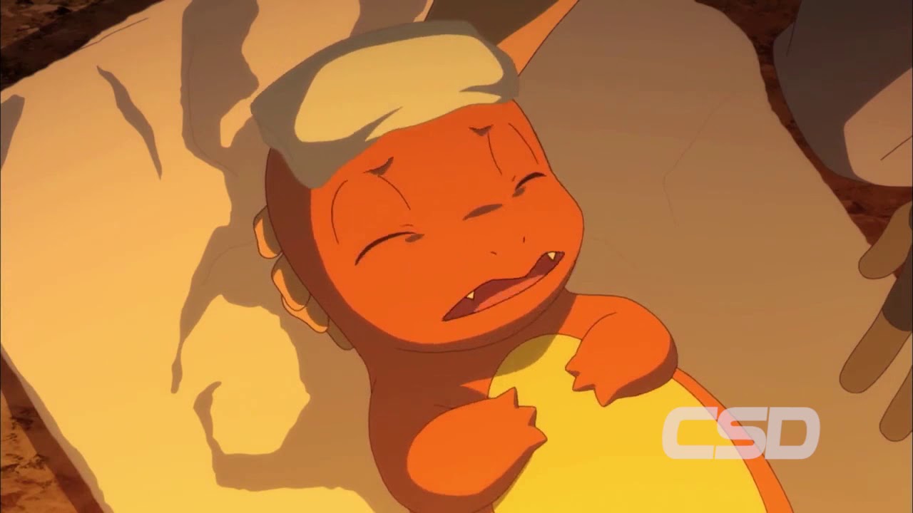 Sorrel heals Charmender | Pokemon The Movie I Choose You