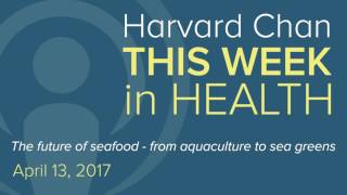 The future of seafood -- from aquaculture to sea greens