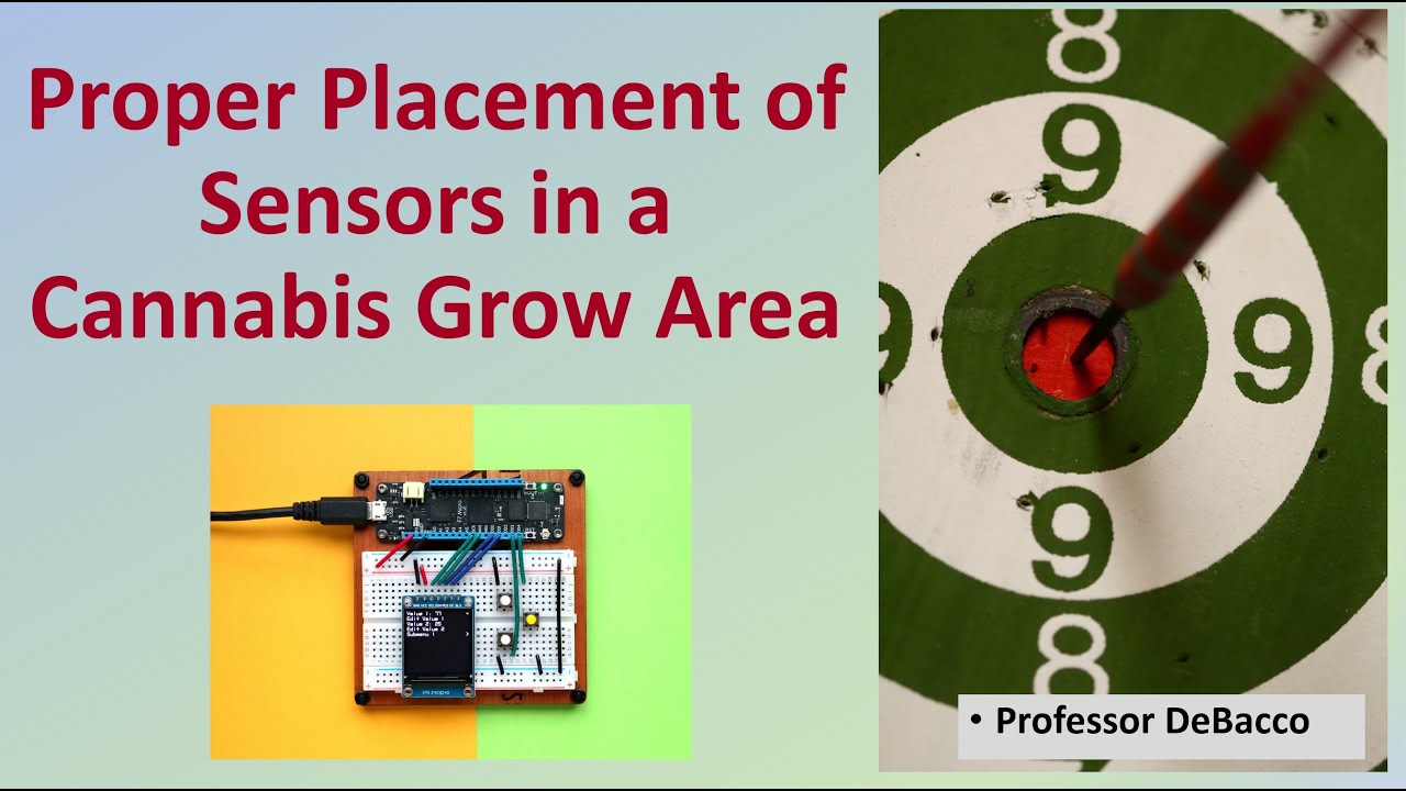 Proper Placement of Sensors in a Cannabis Grow Area 