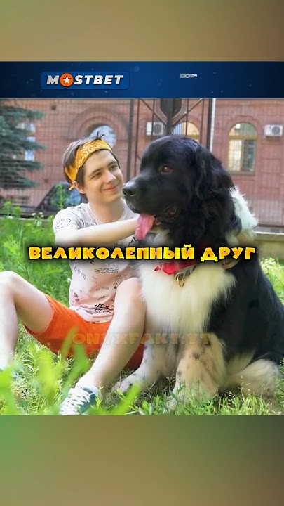 Невероятная работа мастера😍 - YouTube