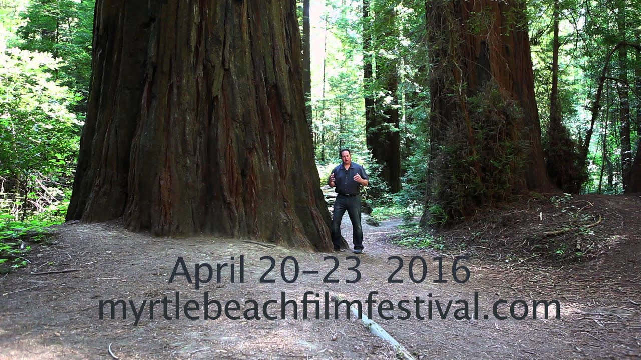 Myrtle Beach International Film Festival 11th annual