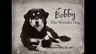 Bobby the Wonder Dog - "A Yearning for Home"
