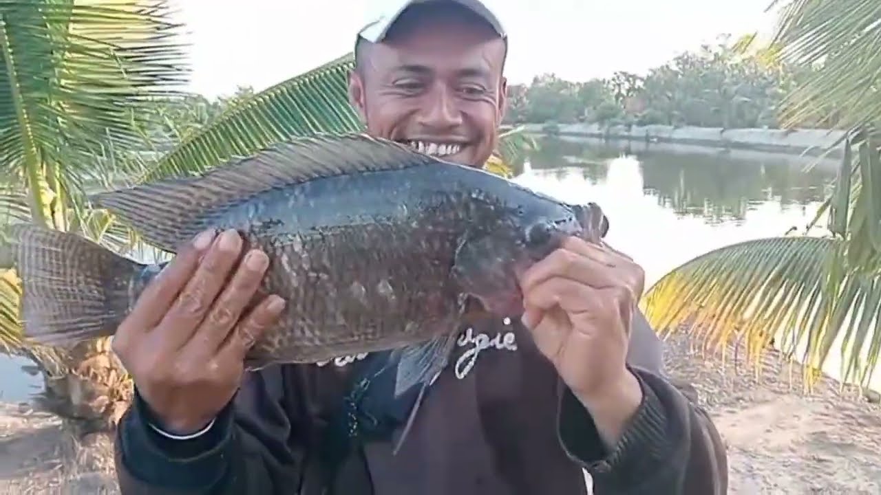 di bukak harian kolam bang piyan kampung nelayan bukak jam 5 pagi 