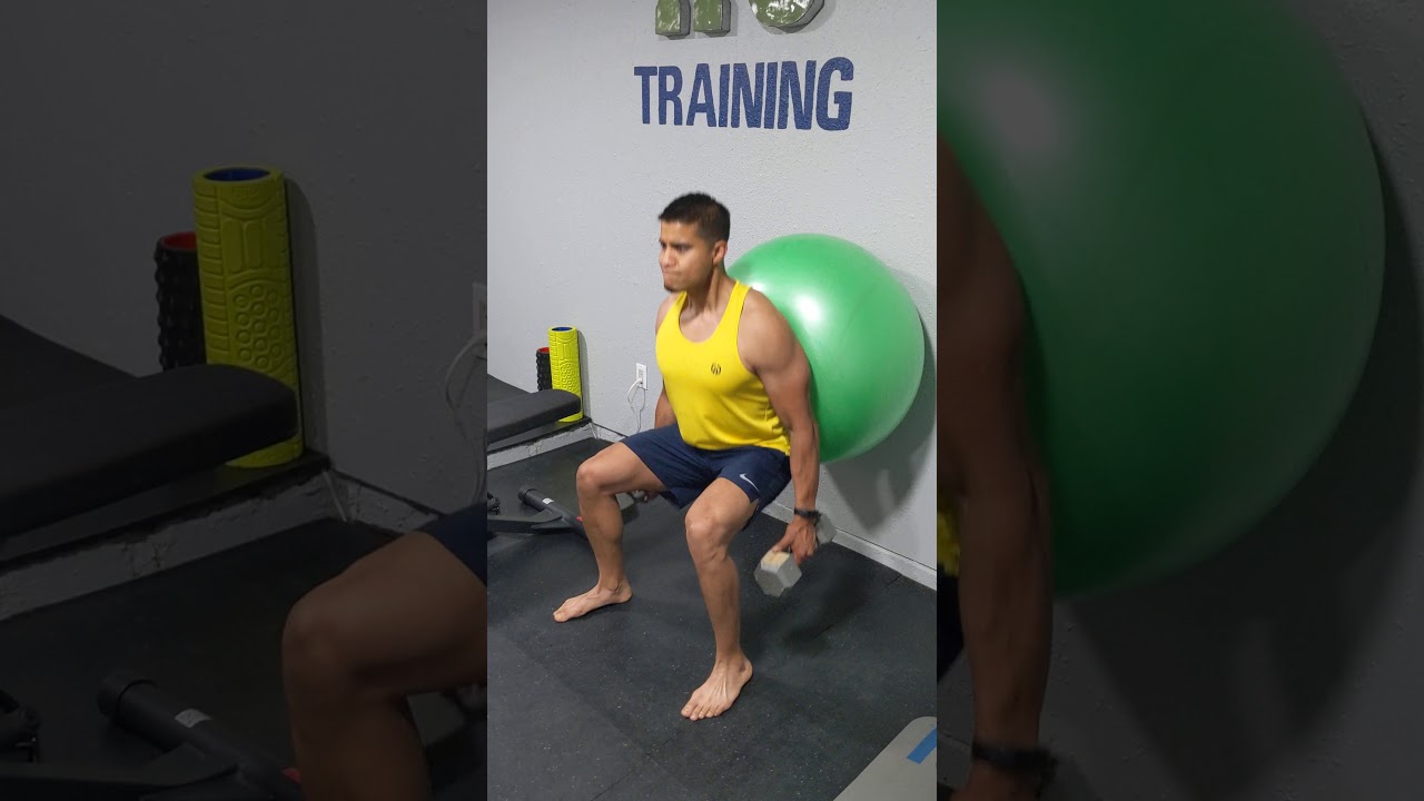 Swiss ball wide stance squats YouTube