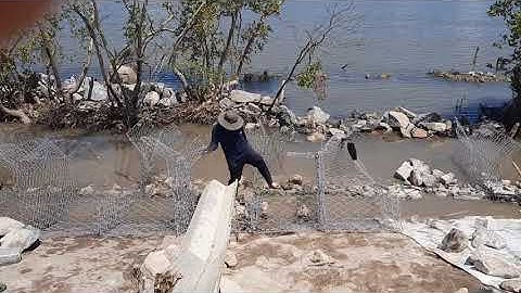 #Mr Điền channel#LOVE#becautiful#huongdancachdapde#...cận cảnh đắp đê bao vùng biển...!