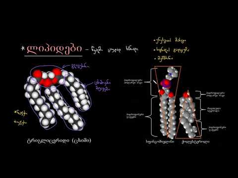 ლიპიდების შესავალი