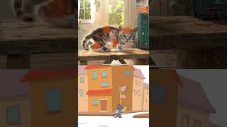 Little Kitty Cat - Everyday Stories