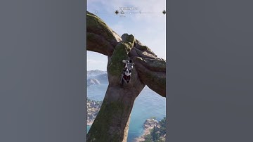 The Leap of Faith That Changed Assassin