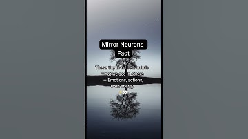 You Copy People Without Realizing It… Here’s Why! 🧠#psychologyfacts #mirrorneurons #mindblown