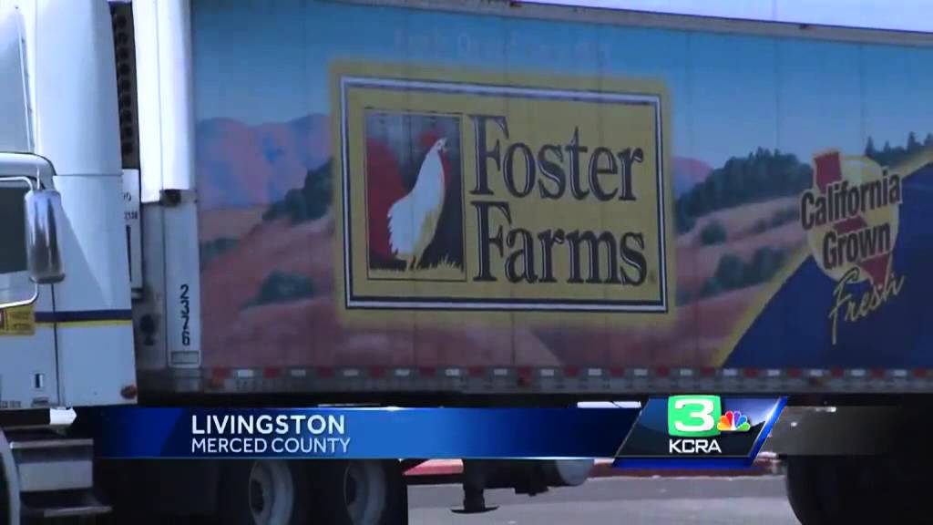 Disturbing new details of Foster Farms' conditions YouTube