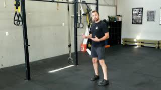 Plank Knee to Elbow Kickback