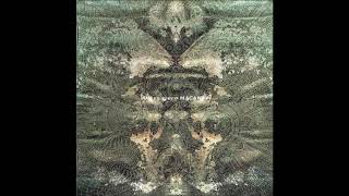 Dir En Grey - Macabre - Deity [1]