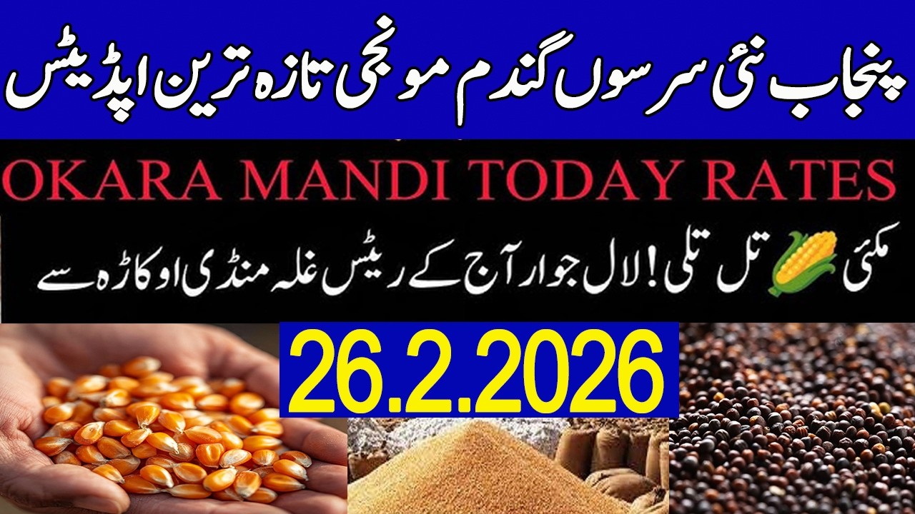 Okara mandi rate today maize till jowar makki rate till rate jowar rate 26.02.2026