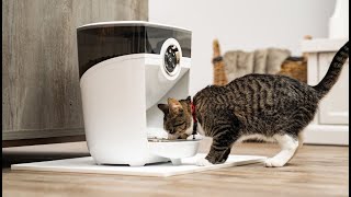 Feeder Robot by Whisker automatic pet feeder has Wi Fi connectivity & easy meal scheduling